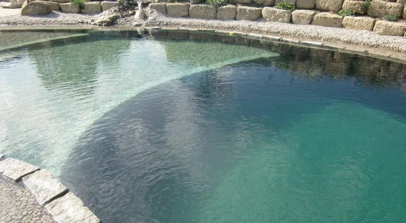 Schwimmteich Anlage