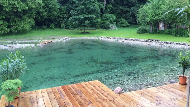Naturnaher Schwimmteich