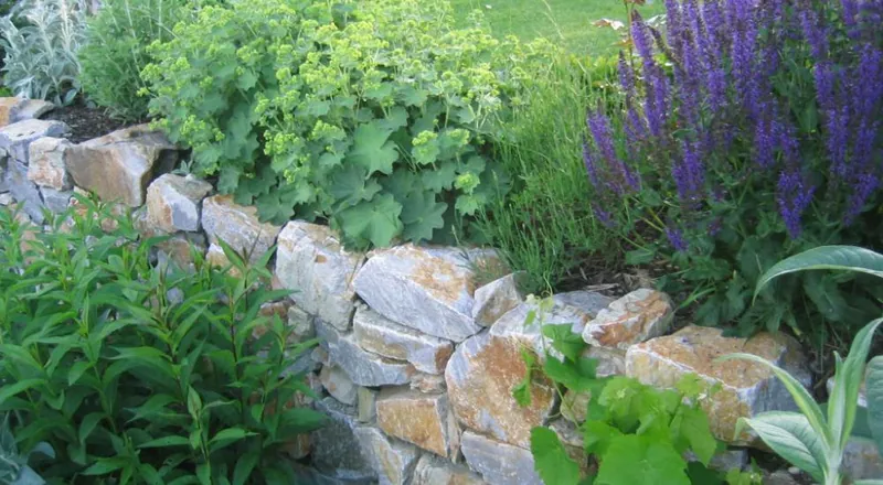 Garten mit Stein