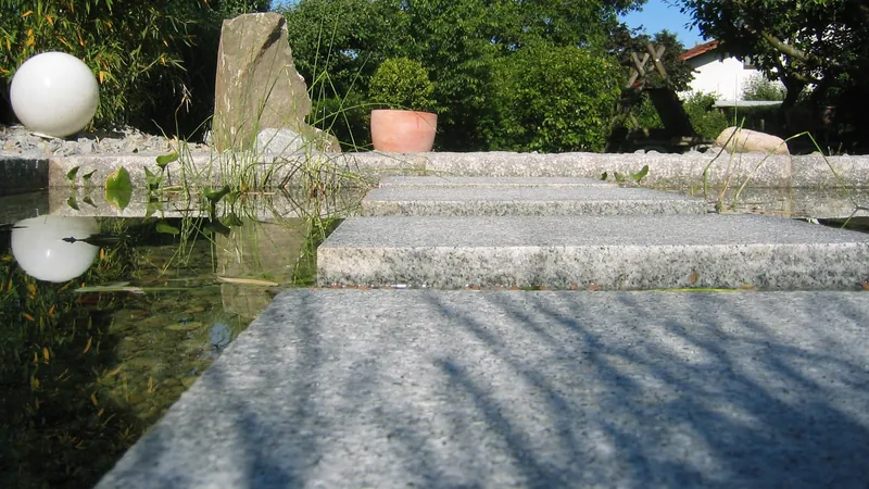 Gartenansicht mit Wasser und Bepflanzung