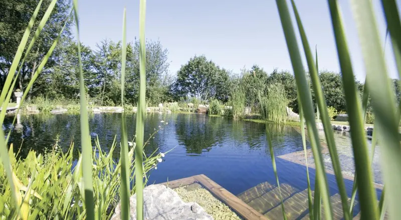 TeichMeister Naturpool